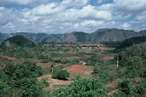 Overlooks: Valle de Vinales - Plantations of tobacco