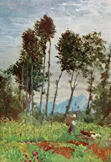 Piedmont: Valley in Piedmont