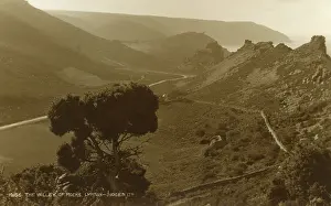 Judges: The Valley of Rocks, Lynton, Devon