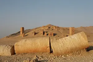 Tamar: Valley of Tombs, Palmyra, Syria