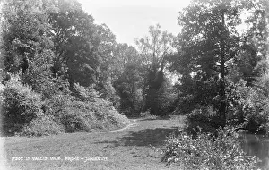 Vale: In Vallis Vale
