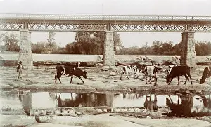 Ironwork: Valsch River, Kroonstad, Orange River Colony, South Africa