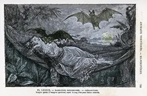 VAMPIRE BATS/RENGADE