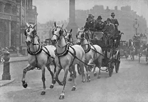Familiar: Vanderbilt Carriage