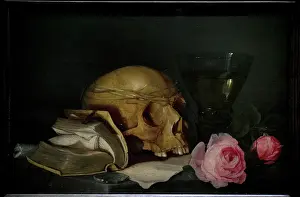 Vanitas: A Vanitas Still Life with a Skull, a Book and Roses, c