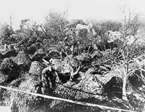Meuse: Varennes 1918