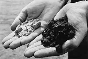Soaked: Two varieties of sand from an oil drilling ?