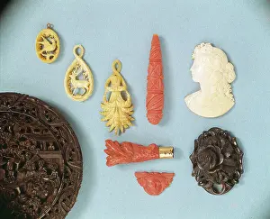Testudines: Various carved specimens