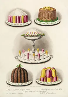 Ices: Various Desserts circa 1860