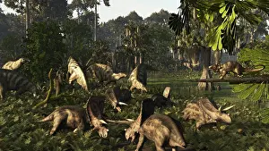Torosaurus: Various dinosaurs of the Hell Creek Formation