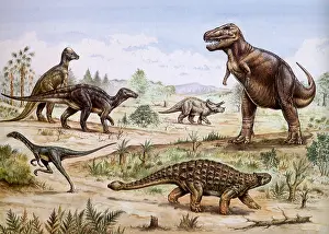 Anatosaurus: Various Dinosaurs in the Late Cretaceous Period