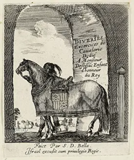 Bella: Various exercises of cavalry