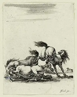 Kick: Various exercises of cavalry