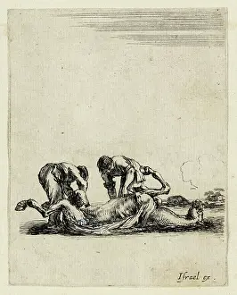 Bella: Various exercises of cavalry