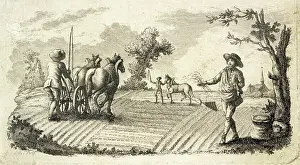 Harrowing: VARIOUS FARM WORK