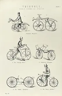Encyclopaedia: Various forms of early bicycle including the
