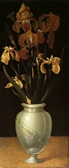 Reddish: Vase of Flowers with Irises