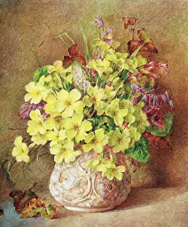 Pressland: Vase of Primroses