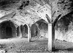 Vaults: The Vaults, Shane's Castle