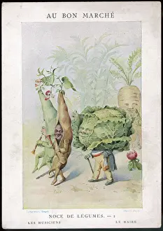 Turnip: VEG AS HUMAN 1 1900