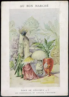 Celery: VEG AS HUMAN 3 1900