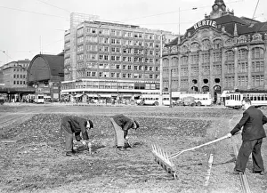 Provide: Vegetable beds on Alexanderplatz, 1942