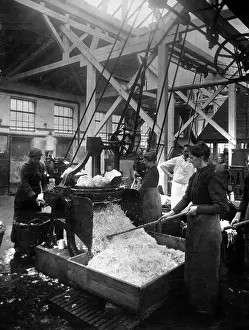 Cabbage: Vegetable factory in Berlin, 1916