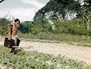 Kokine: Vegetable farmer - Rangoon