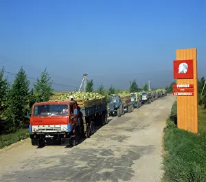 Tsiolkovsky: Vegetable harvest in Kaluga Region, 1981