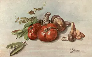 Peas: Vegetable Still Life