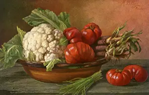 Tomatoes: Vegetable Still Life