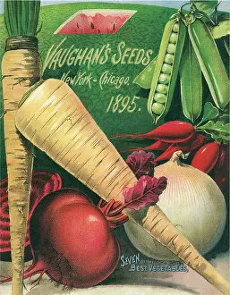 Featured: Vegetable Seed Packet