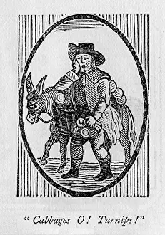 Cabbages: Vegetable seller (cabbages)