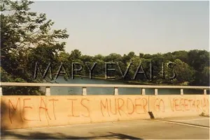 Vegetarian: VEGETARIAN GRAFFITI