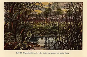 Leben: Vegetation from the first half of the Mesozoic era