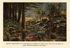 Crinoid: Vegetation in the first half of the Neogene (Late