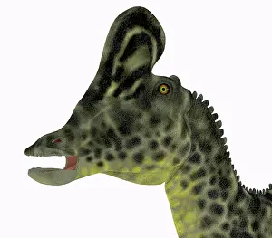 Campanian: Velafrons dinosaur head, close-up