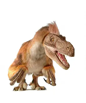 Coelurosaur: Velociraptor