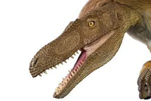 Jaws: Velociraptor