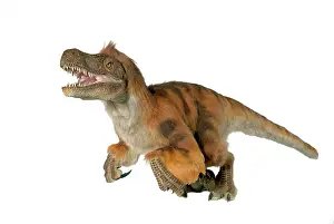 Jaws: Velociraptor