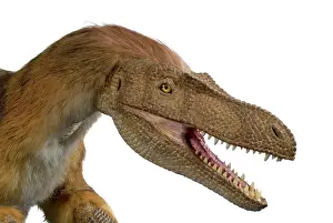Jaws: Velociraptor