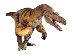 Jaws: Velociraptor