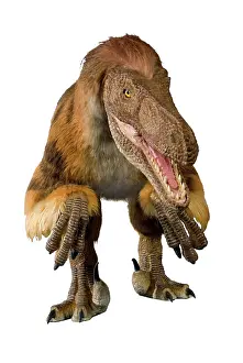 Jaws: Velociraptor