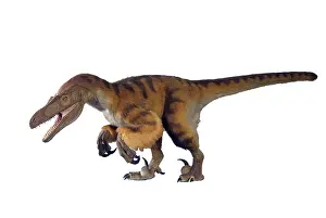 Jaws: Velociraptor