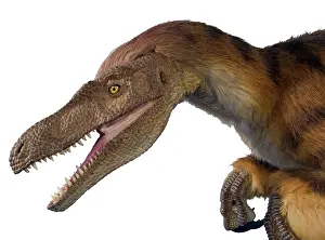 Jaws: Velociraptor
