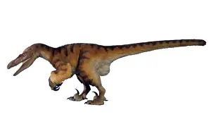 Jaws: Velociraptor