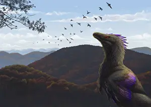 Contour: Velociraptor in an autumn landscape
