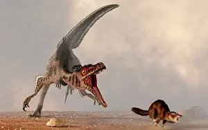 Velociraptor: A velociraptor chasing a rat sized mammal