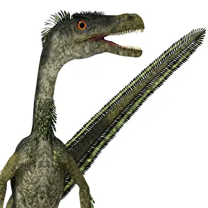 Dromaeosaurid: Velociraptor dinosaur headshot