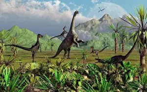 Velociraptor: Velociraptor dinosaurs attack a Camarasaurus for their next